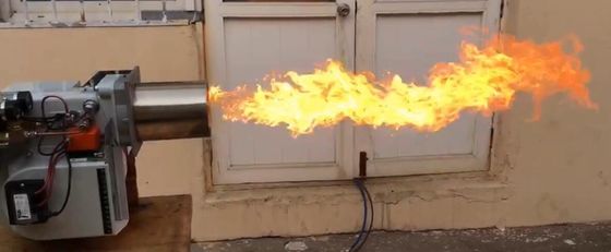 CE Standard Fuel Oil Burner Double Flame Stage Sufficient Combustion